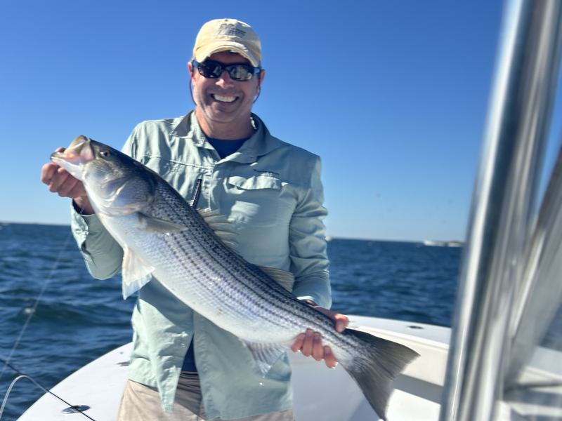 Angler with a striped bass on a Boston Harbor fly fishing charter