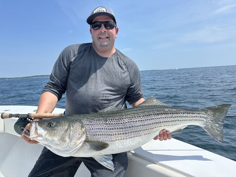 Angler with a big striped bass in Boston Harbor