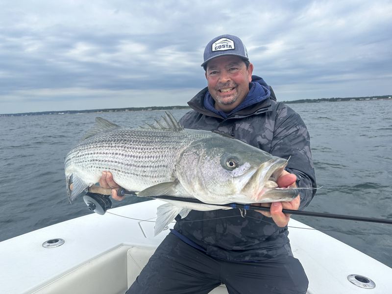 Angler with two big striped bass on the Conch 27 in Boston Harbor