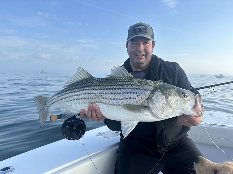 Big Stripers and Happy Customers in Boston for striped bass on the fly