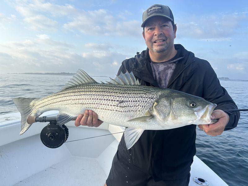 Big Stripers, Big Flies, Happy Customers in Boston for striped bass on the fly