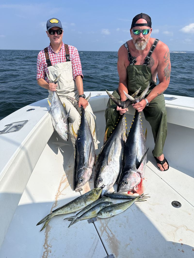 Two anglers with a haul of tuna and bonito offshore