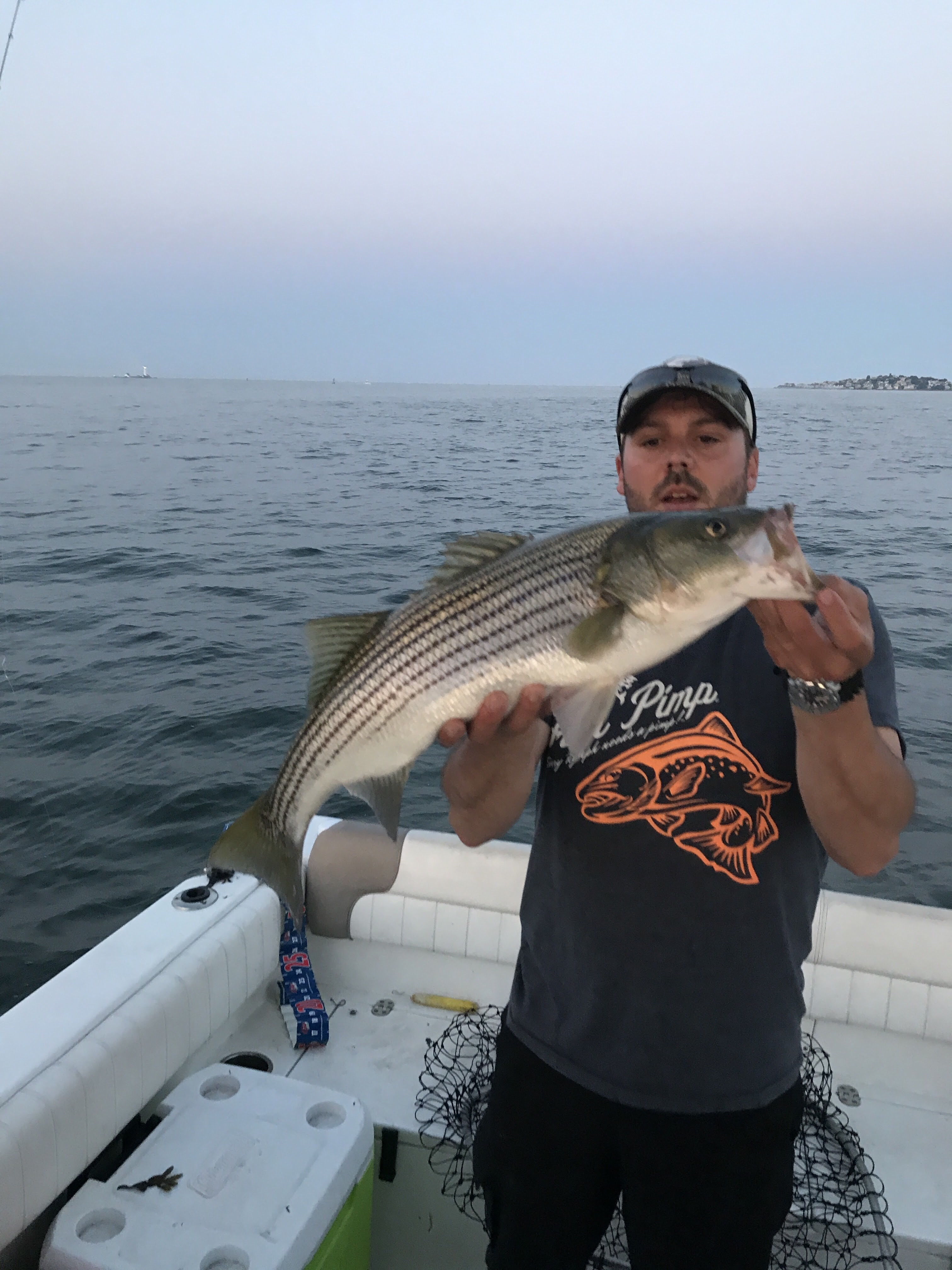 Boston Harbor blitzing schoolies Fly Fishing Boston Fly Fishing